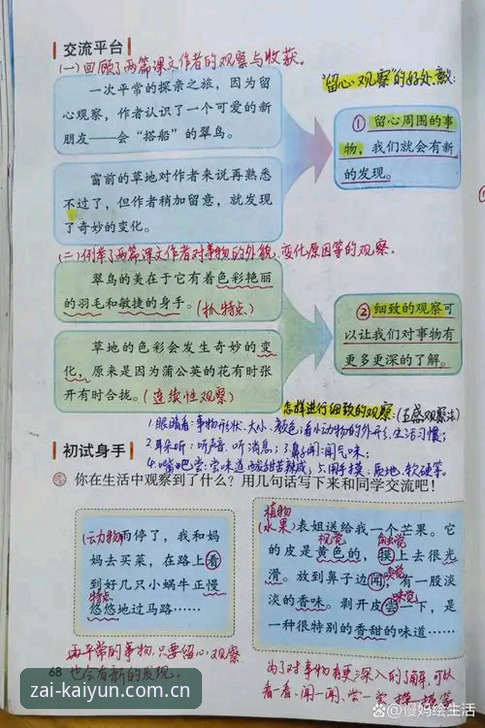 5个关于开云在哪儿押注快速访问的追问与回应